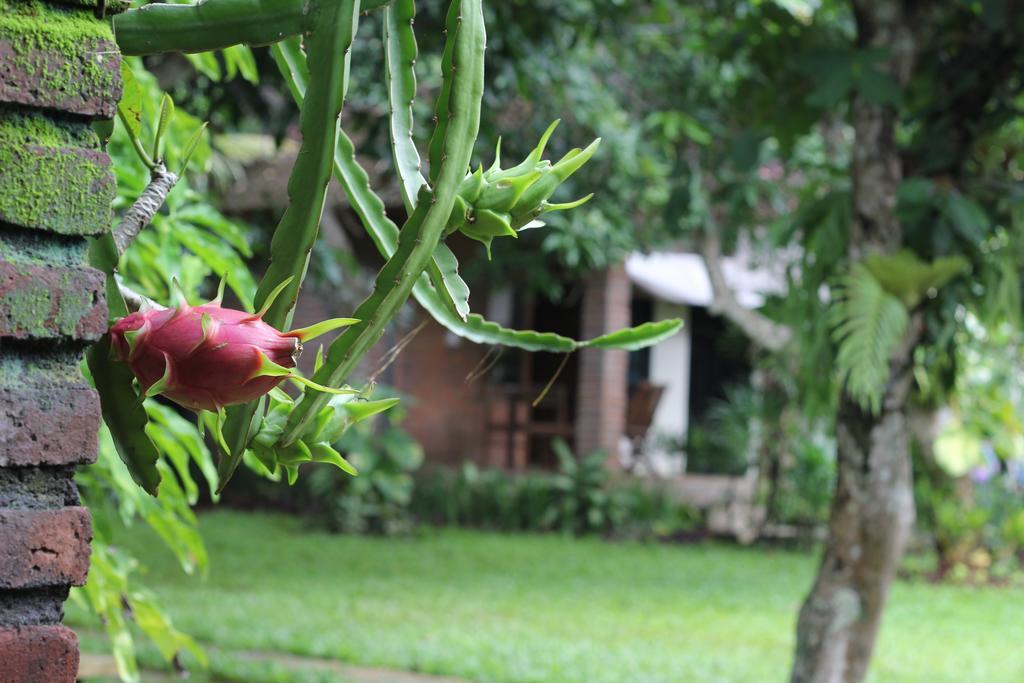 Timbis Homestay Bali Nusa Dua  Exterior foto